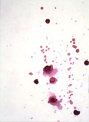 Jan Svenungsson - Test 36