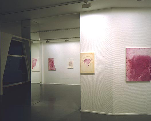 Jan Svenungsson - Galerie Anhava 1994