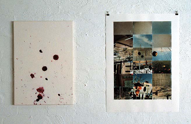 Jan Svenungsson - exhibition at h, Melbourne 1998