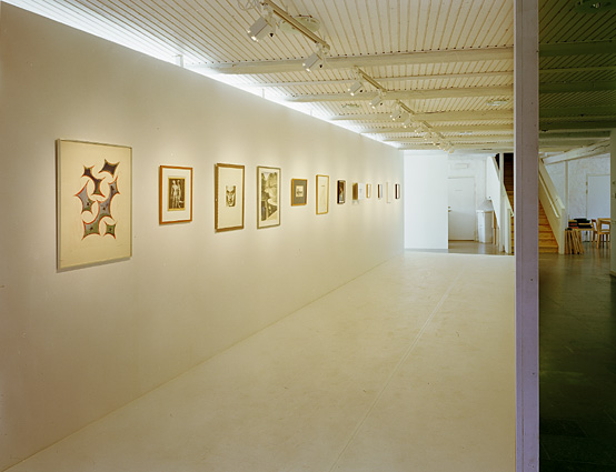 My Man Rays installation view