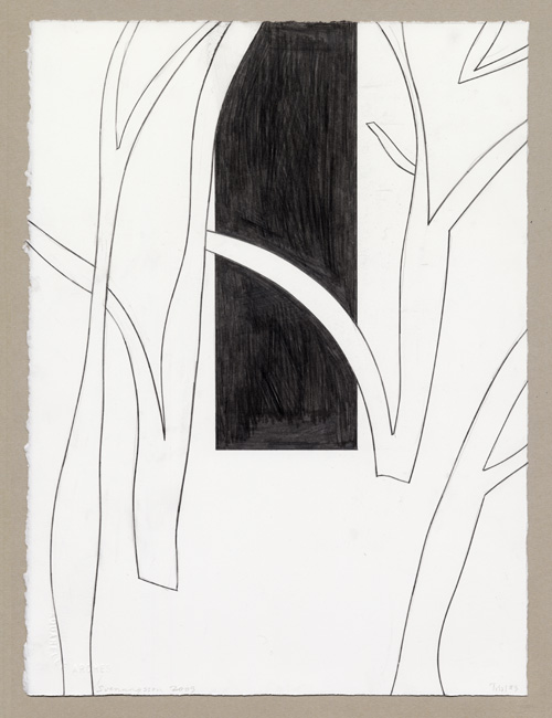 Trial Drawing 3