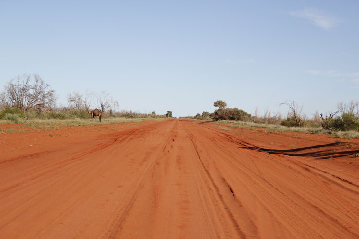 on the road to Papunya